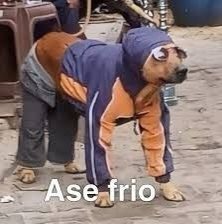 yungchente97's tweet image. it’s 48° in Texas rn