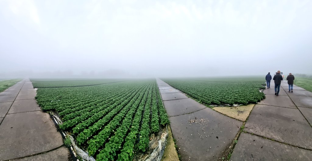 Dan Hawes tweet media