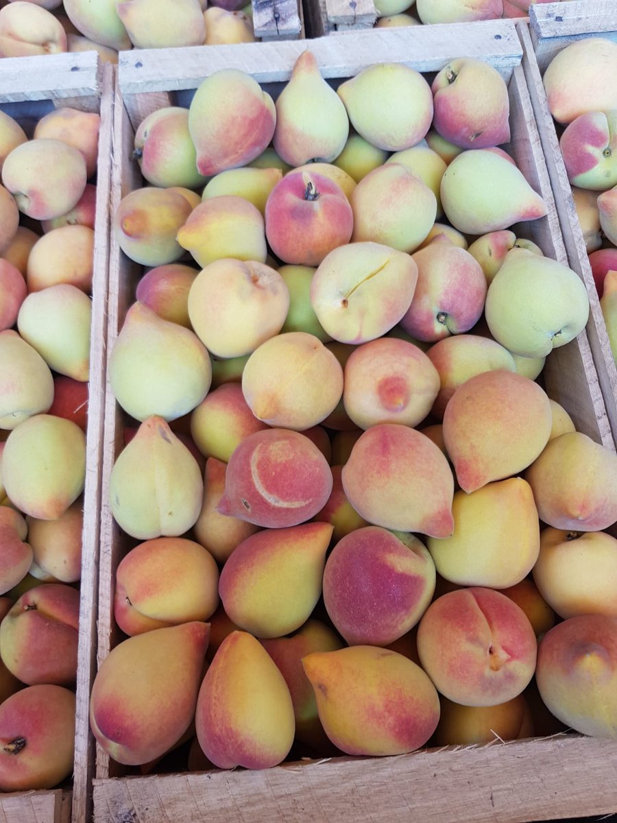 Nathalia Ortiz Larroza tweet media