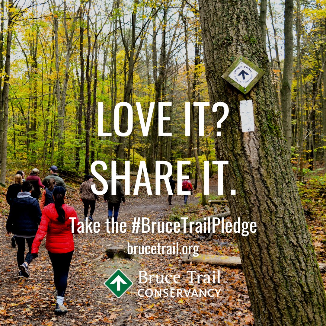 TO_Bruce_Trail's tweet photo. One of the Club's objectives is to encourage more people to hike, particularly from youth and those unfamiliar to our trails. Toronto member Zwena Gray was a role model as she blogged about her 2022 trail adventures. Take the #BruceTrailPledge; encourage an “Inclusive Outdoors” https://t.co/fNZFnNVyF0