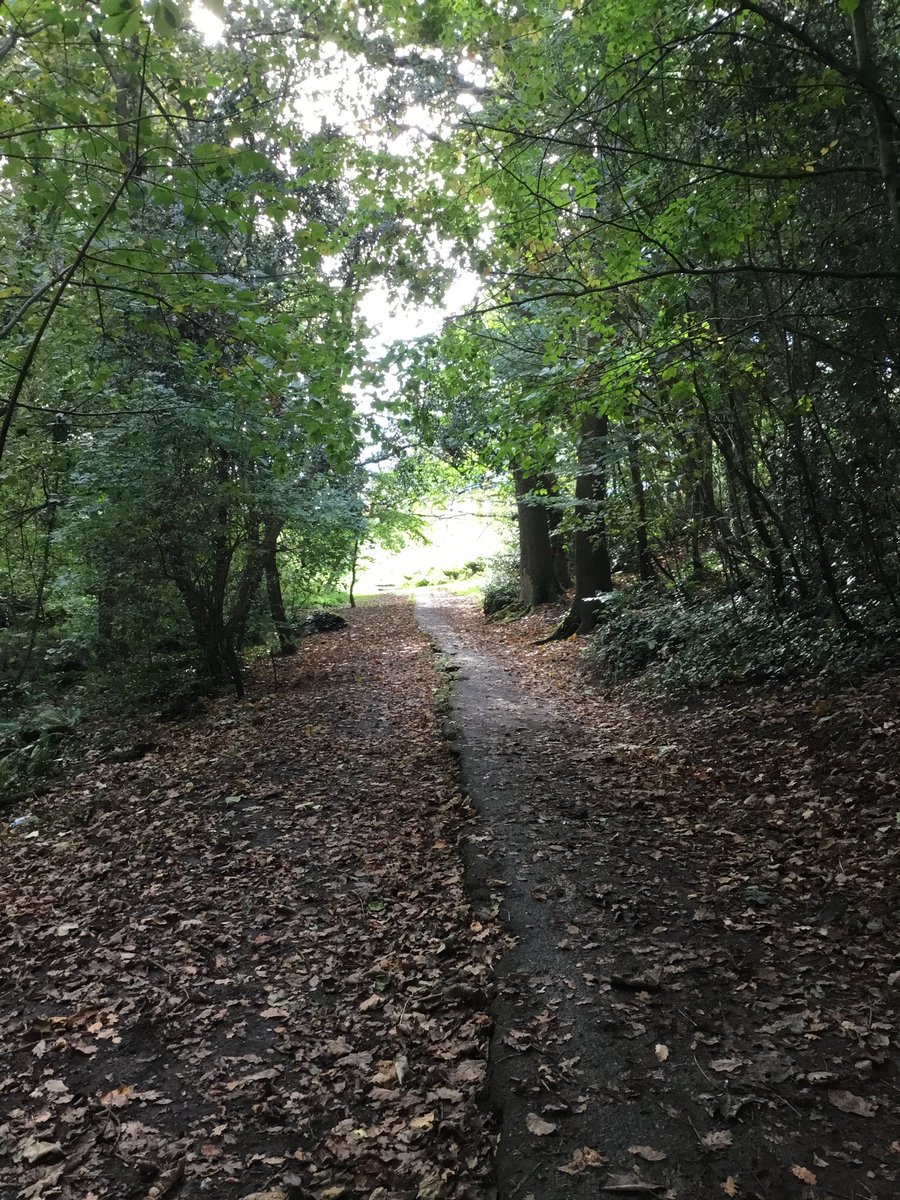 amyparsons123's tweet photo. Year 1 wowed us with their senses vocabulary… ‘wobbly, wibbly, sleepy tree’, ‘fluffy ferns’, ‘a ladder of roots’, ‘floating, velvety leaves’, rough bark’, ‘jumping squirrels’ 🍃 🐿 🌳 #poetry #senses #writing @Mayflower_MCA @siobhanbradsMCA @CatherineactMCA https://t.co/U8uflPTB5H