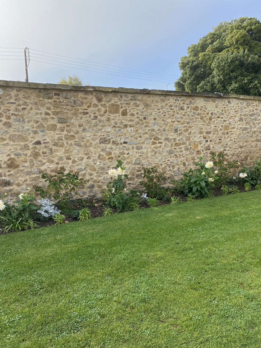 ccw636's tweet photo. #cottageflowersilminster #dhalias #gardeningontwitter
Perfect morning to visit my local florist and garden . Stunning dahlias . https://t.co/SDvrwSbi4C