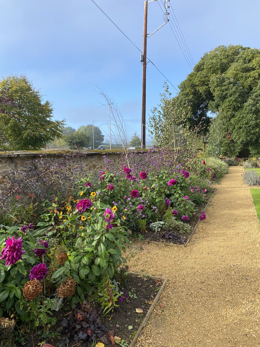 ccw636's tweet photo. #cottageflowersilminster #dhalias #gardeningontwitter
Perfect morning to visit my local florist and garden . Stunning dahlias . https://t.co/SDvrwSbi4C