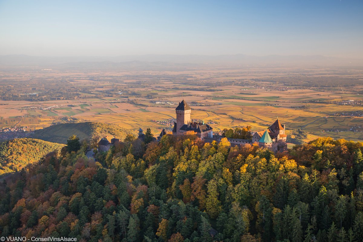 Le château du Haut-Koenigsbourg dans son manteau d’automne ! 🏰😍 bit.ly/haut-koenigsbo… #Alsace #VisitAlsace