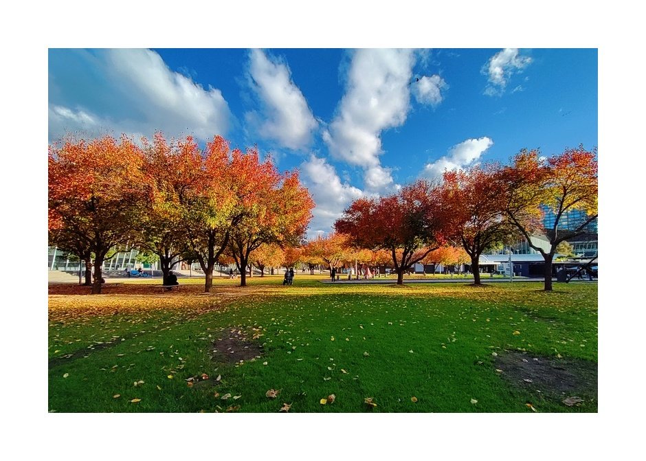SamThakur95's tweet photo. Passing my 1 year PhD mark today somehow made me realise that life changed so much in the last year! Met amazing people and experienced the moody Melbourne weather! Looking forward to more interesting times ahead ☺️
(And here's some pictures from different seasons) https://t.co/PL5IGhSyRj