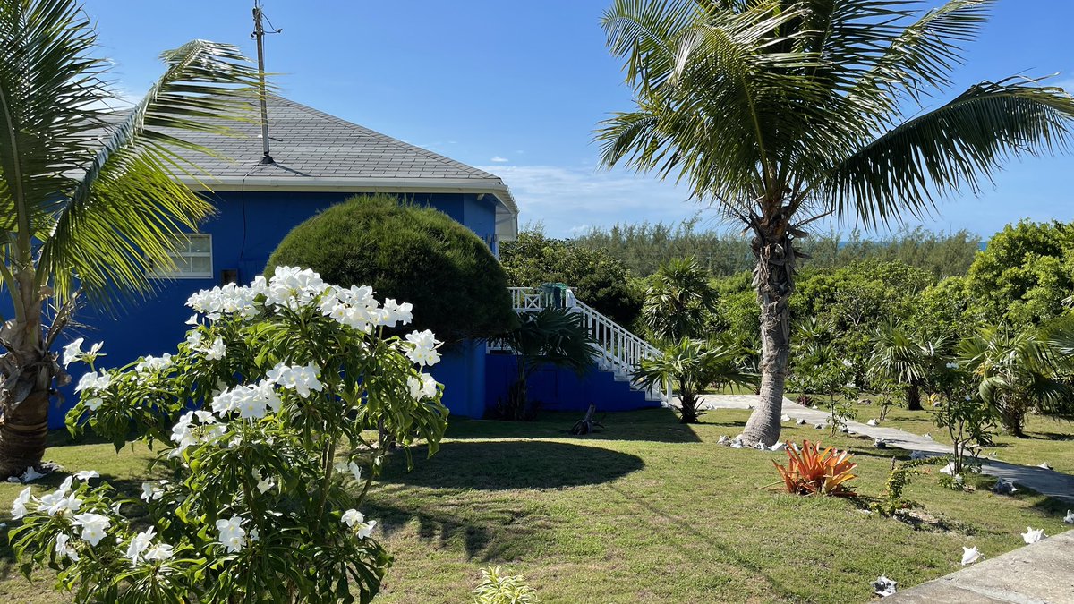 Blueskies cottage, the best place to enjoy #Eleuthera, #bahamas