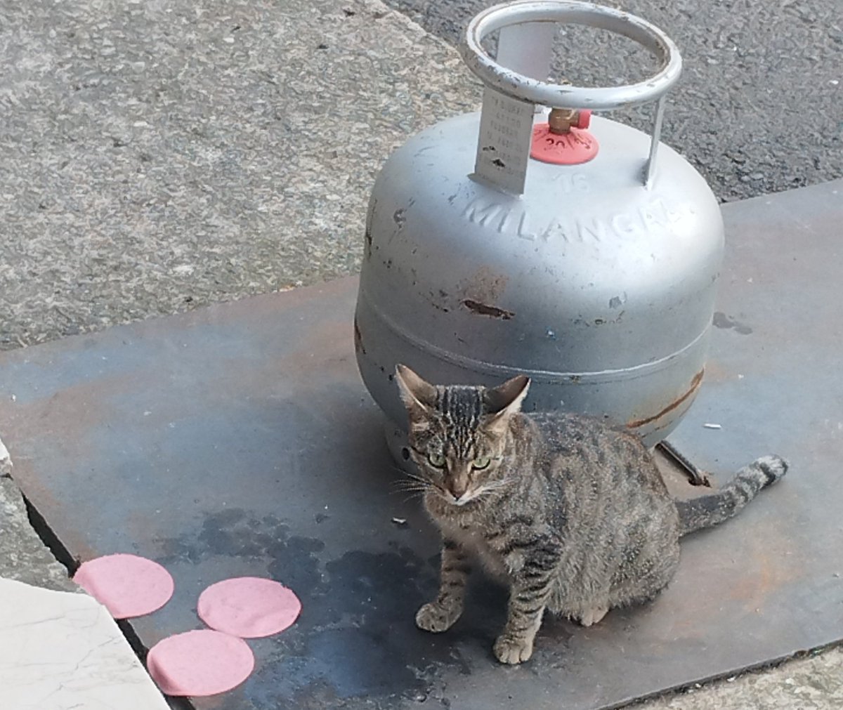 Kahvaltim 😣😔✌🏻(gizlicekim)