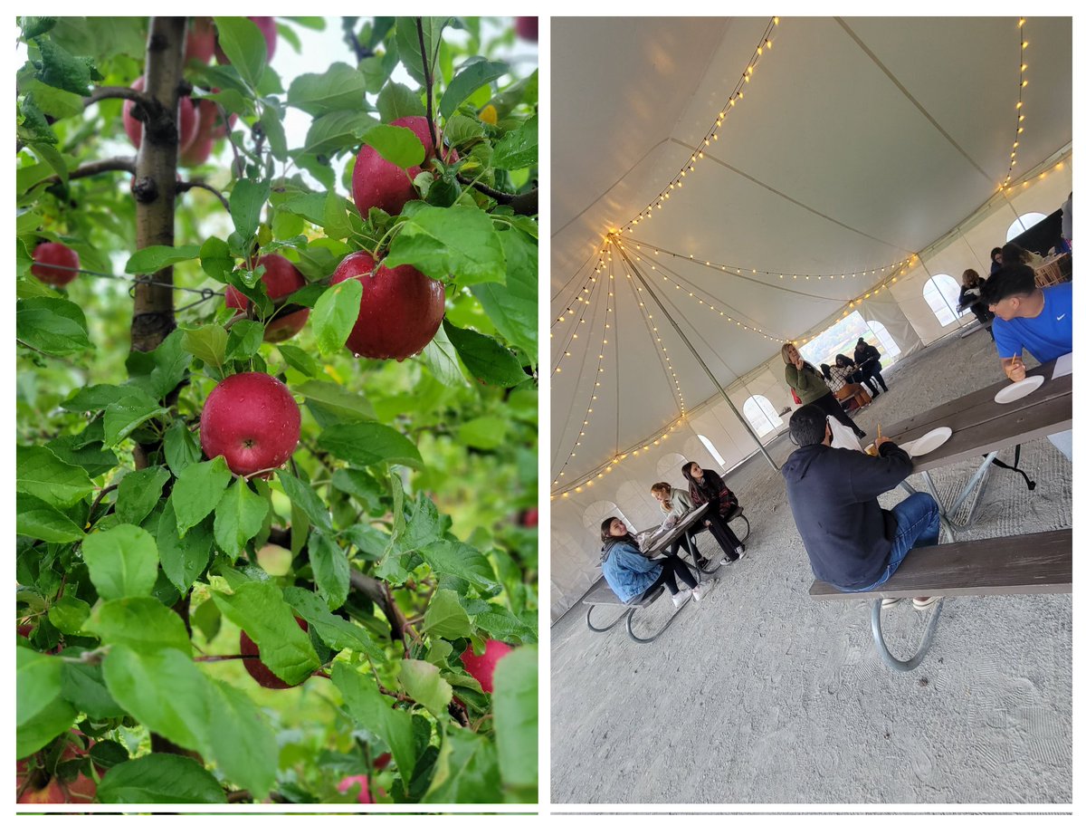 spartahsnj's tweet photo. The Culinary students had a great trip to Donaldson's Farm! We tasted apples, learned about the different varieties and were able to spend some time with Chef and owner Bill Van Pelt of James on Main from Hackettstown. @Sparta_Schools @Sparta_HS  @DonaldsonFarms @JoMwoodfired https://t.co/tPT0Tb5bdP