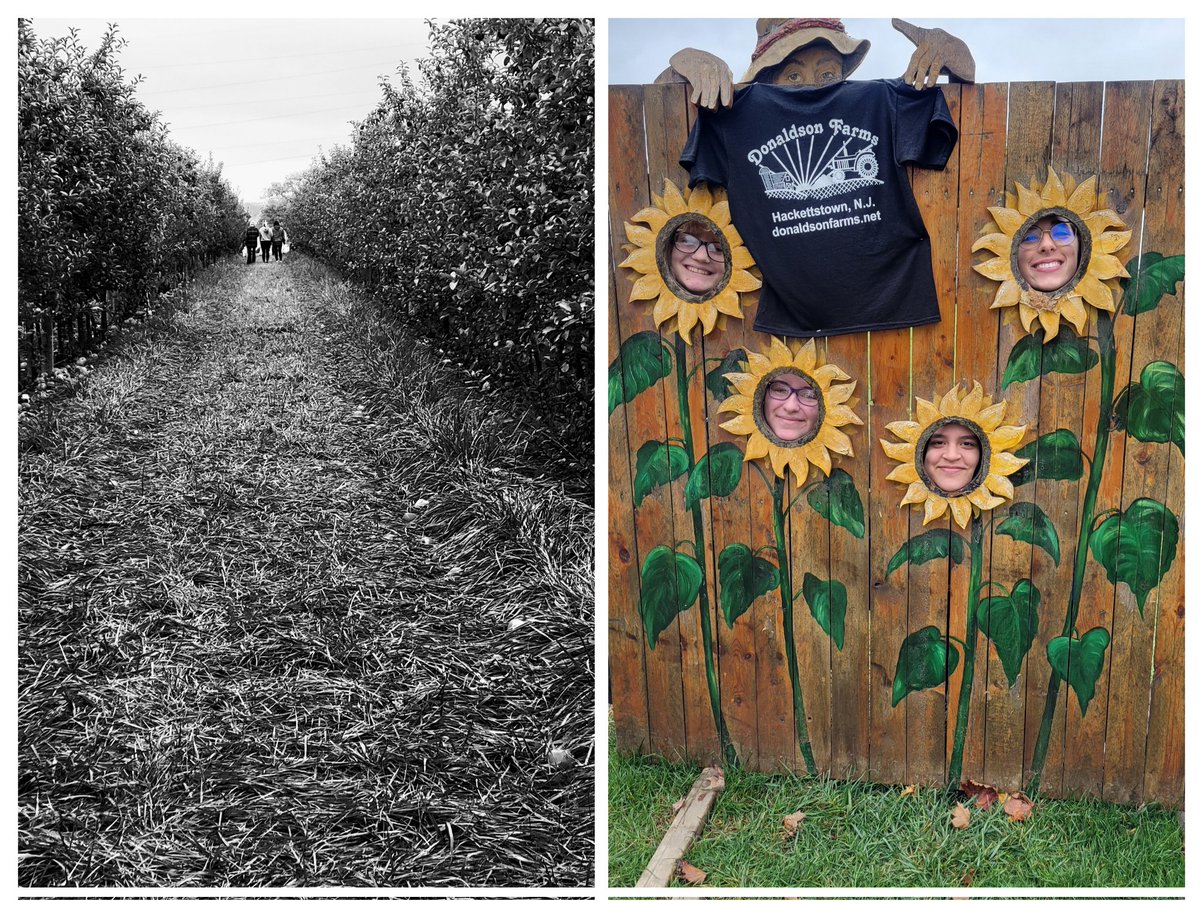 spartahsnj's tweet photo. The Culinary students had a great trip to Donaldson's Farm! We tasted apples, learned about the different varieties and were able to spend some time with Chef and owner Bill Van Pelt of James on Main from Hackettstown. @Sparta_Schools @Sparta_HS  @DonaldsonFarms @JoMwoodfired https://t.co/tPT0Tb5bdP