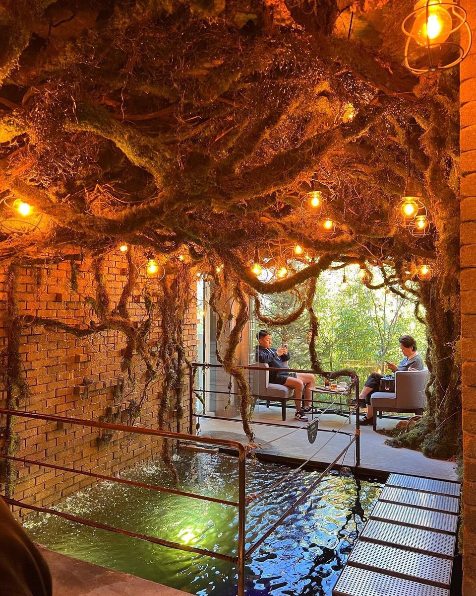 Dermot Kennedy tweet media