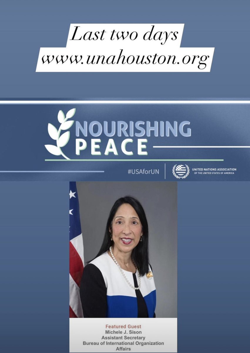 United Nations Association - Houston (@una_houston) on Twitter photo 