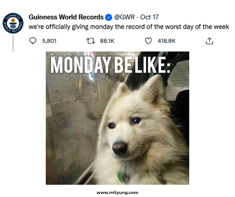 Irrespective of whether it is Monday or any other day of the week, you can count on MITYUNG to take care of all of your Healthcare Information Technology requirements.💯
#healthcare #people #monday #mondaythoughts #guinessworldrecord #opinion #energy #medzinc #MITYUNG