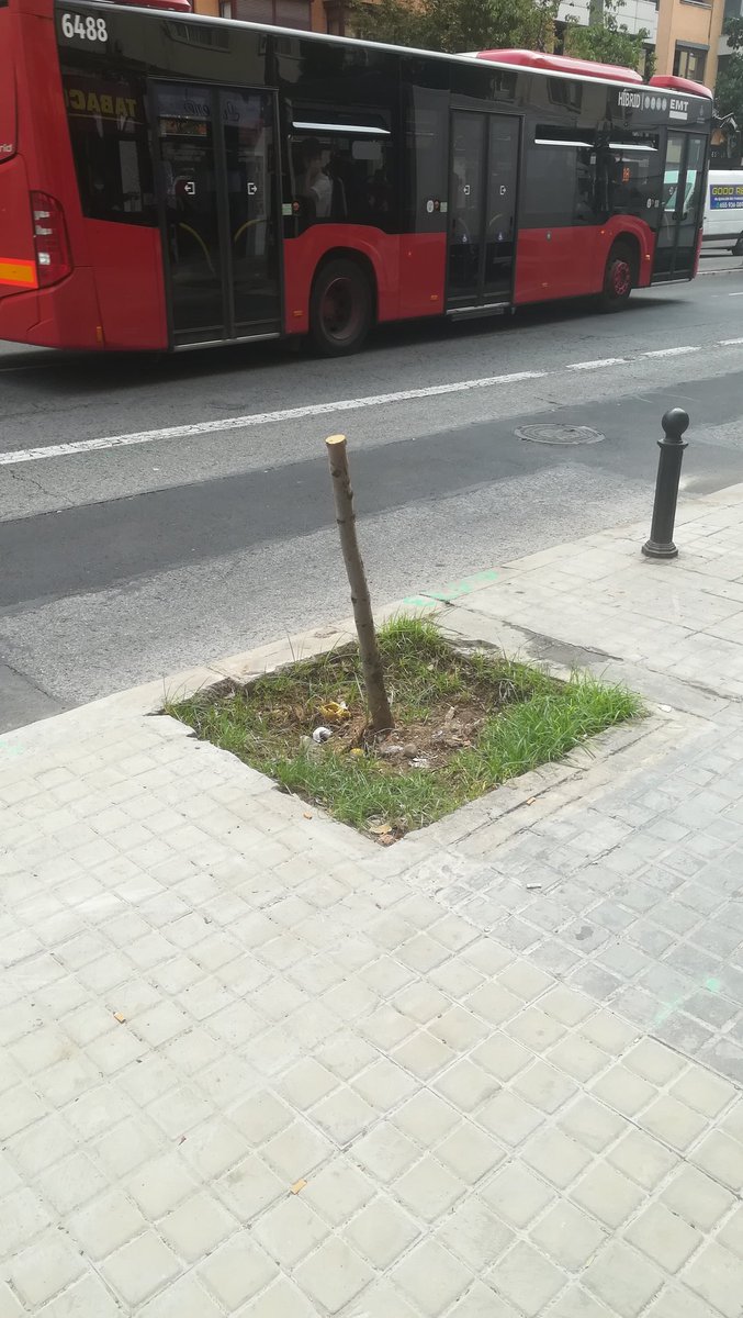 VicentValencia2's tweet photo. La "poda" va bien (ironía on)
#Sonrojo https://t.co/GQLKL4mVq1
