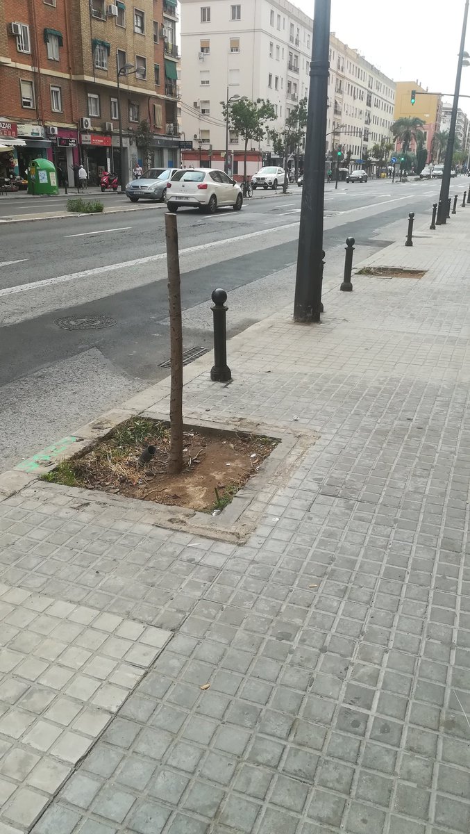 VicentValencia2's tweet photo. La "poda" va bien (ironía on)
#Sonrojo https://t.co/GQLKL4mVq1