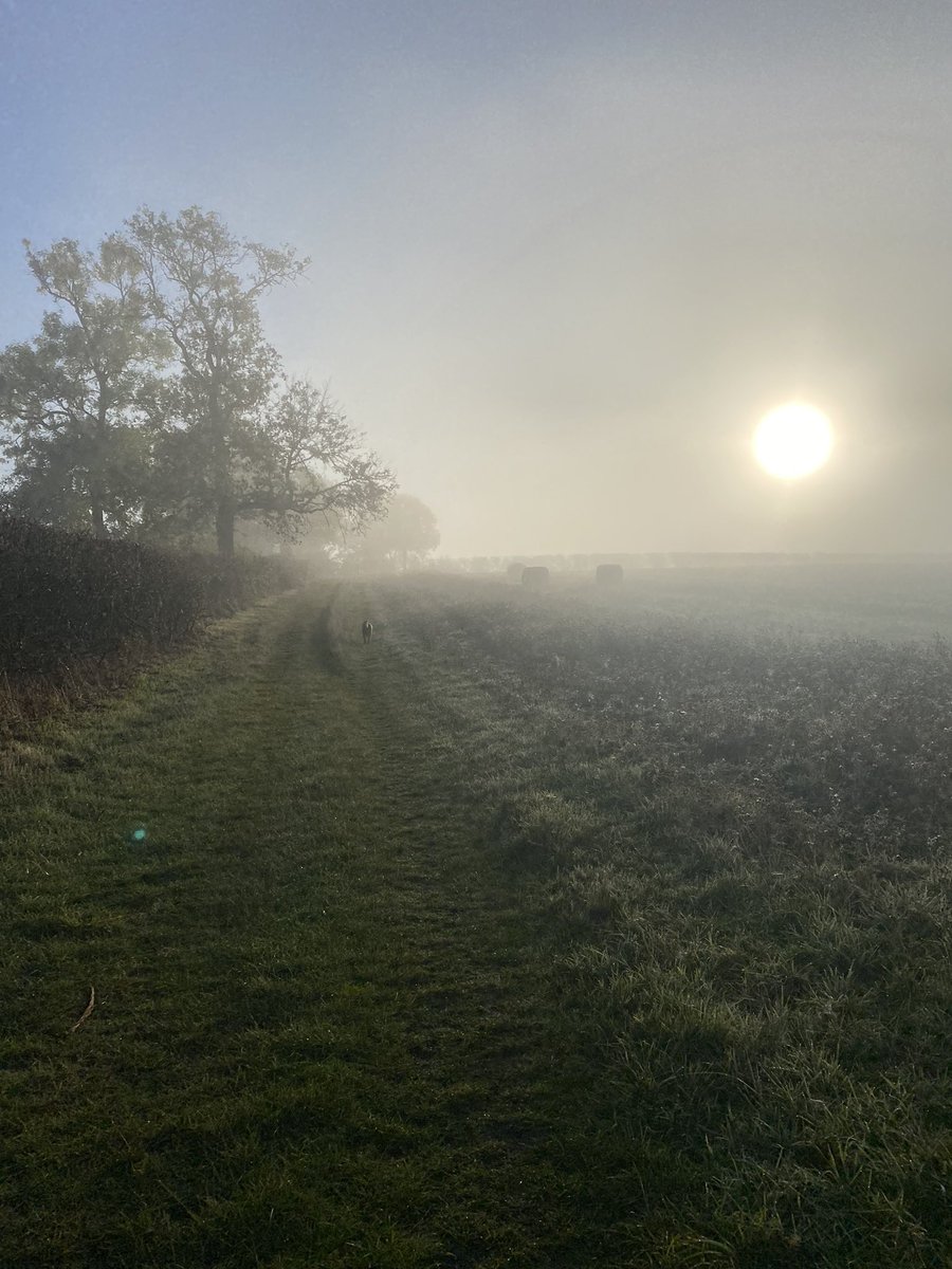 bloodyeek's tweet photo. Isn’t nature grand within 20 minutes it was brilliant sunshine #fogoff https://t.co/CnX6RJ4Cfu