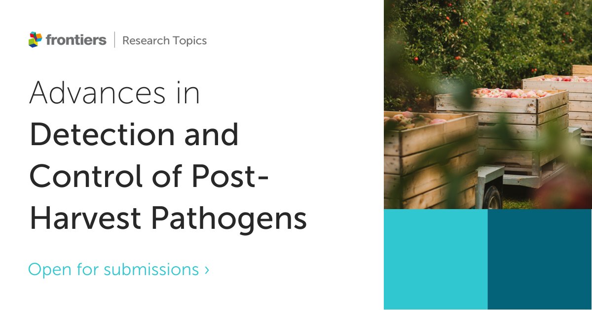 FrontMicrobiol's tweet image. Rotting is a major issue in post-harvest losses of fruit &amp;amp; vegetables, caused mainly by #FungalPathogens. 🍅🦠

We aim to further understand bacteria &amp;amp; fungi causing post-harvest disease, &amp;amp;  improve the detection &amp;amp; control of #pathogens. 

Closing soon 👉fro.ntiers.in/kC3K