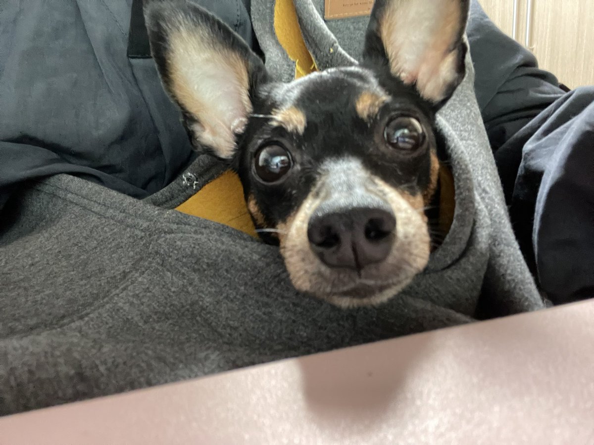 KDmiley_pic's tweet photo. 올여름 비때문에 벽지 젖어서 싹 도배함 .. 
도배하고 보수공사한다고 그래서 이틀재택하고
이틀 같이 출근해서 회사근처 병원에 놀이방 맡김... https://t.co/VhGSMVqmYQ