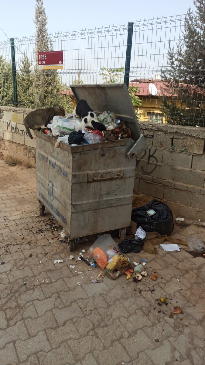 vhtarsln's tweet photo. @reyhanlibel 
@HatayBSB 
Reyhanlı Yenişehir ilkokulu önündeki çöp konteynerinin durumu. Ne öğrenciler ne de öğretmenler bu görüntüyü hak etmiyor. Peki ya sizce ? https://t.co/TVl0fyvq94