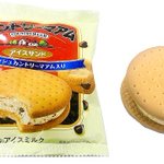 【再発売】カントリーマアムがアイスに!クッキーとアイスのコラボをご堪能あれ♪