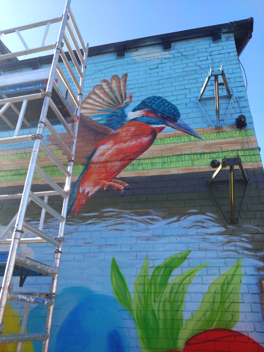 JmeDzynz's tweet photo. The 2nd #Kingfisher is coming along nicely down at #JessieStreet #NewtonHeath #Mural @buzzmanc https://t.co/RiK8Zg5XXA