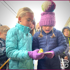 ByronCenterChr's tweet photo. As part of the social studies learning, we want students to practice being community builders. To do that, our students covered many Byron Center businesses in prayer and asked God to bless the people that work in each one! #bccs #bccssecondgrade #communitybuilders https://t.co/70BZ7DTxIw