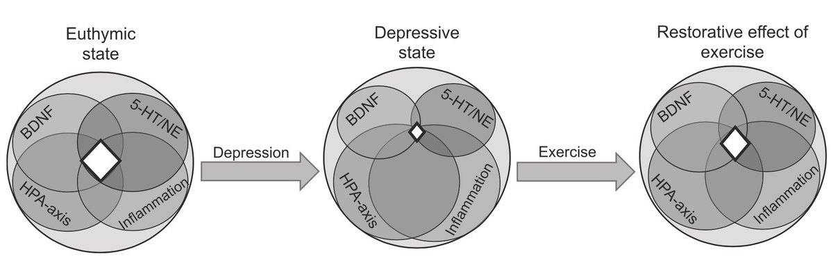 The role of exercise in the treatment of depression: biological underpinnings and clinical outcomes Ryan E. Ross et al. Mol Psychiatry nature.com/articles/s4138…