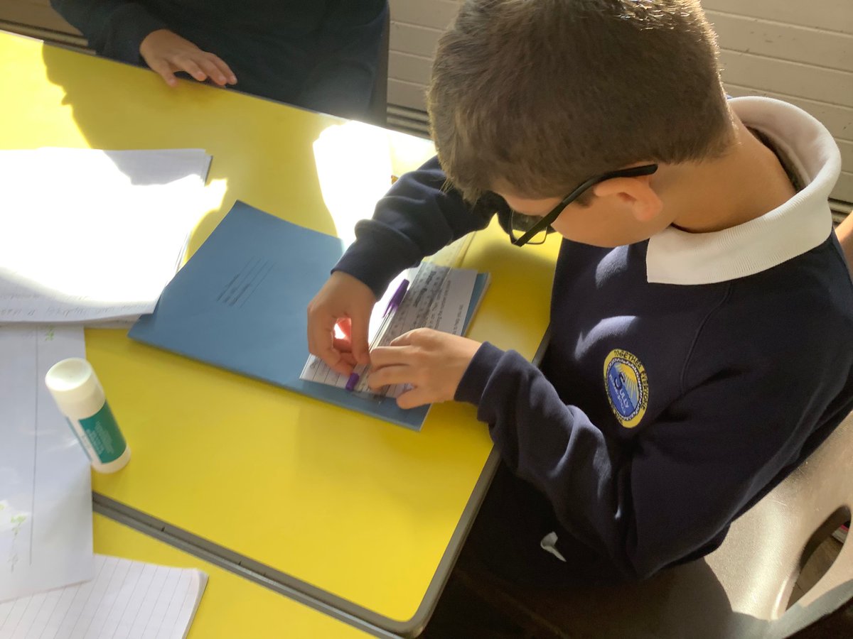 SullyPS's tweet photo. #SPSYear4 are working on our measuring skills hiding cm and mm and accurately using a ruler #SPSMaths #SPSCurious 📏 https://t.co/YDIZxGG7HL