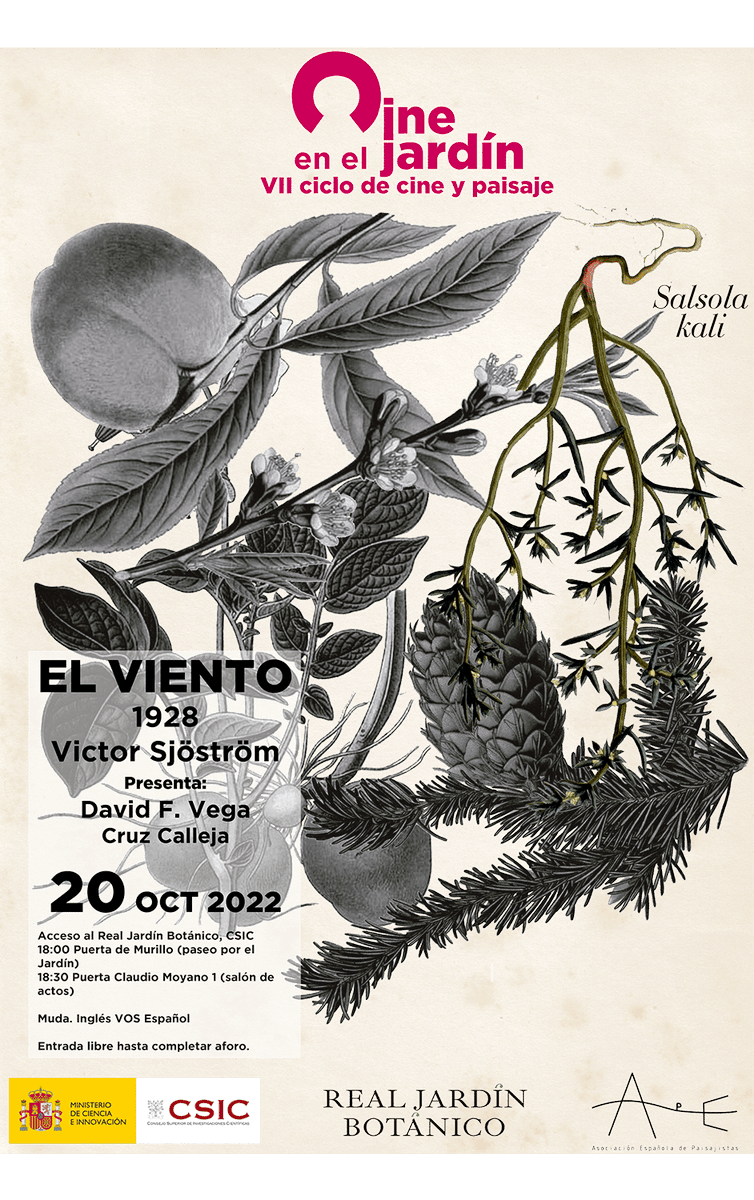 RJBOTANICO's tweet photo. EL VIENTO de Sjöström, trae al @RJBOTANICO  la 3ª sesión gratuita del ciclo #CineEnElJardín
📽️: Jueves 20 OCT, 18:30 h. A las 18:00h con visita previa al Jardín 🌿
🏘️: Salón de Actos. 
Presenta: David F. Vega
Organizado con: @AEPaisajistas 
https://t.co/E3DSYXlPOe https://t.co/03axvHSRIO