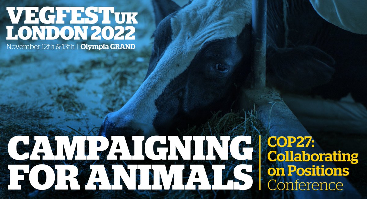 VegfestUK tweet media