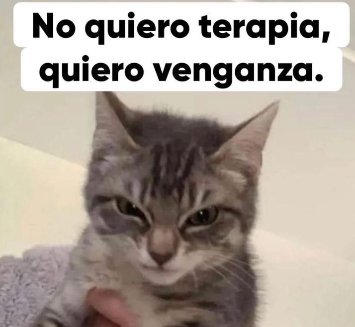yenni261's tweet photo. Jajajajaja https://t.co/6185XZrq61