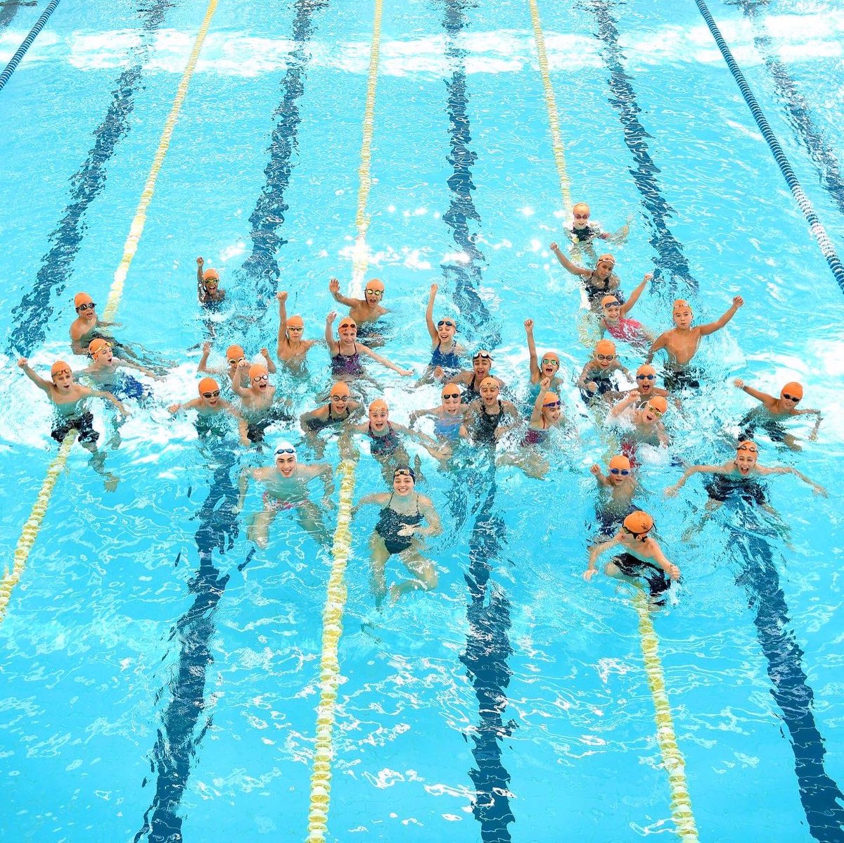 Hamilton Aquatics tweet media