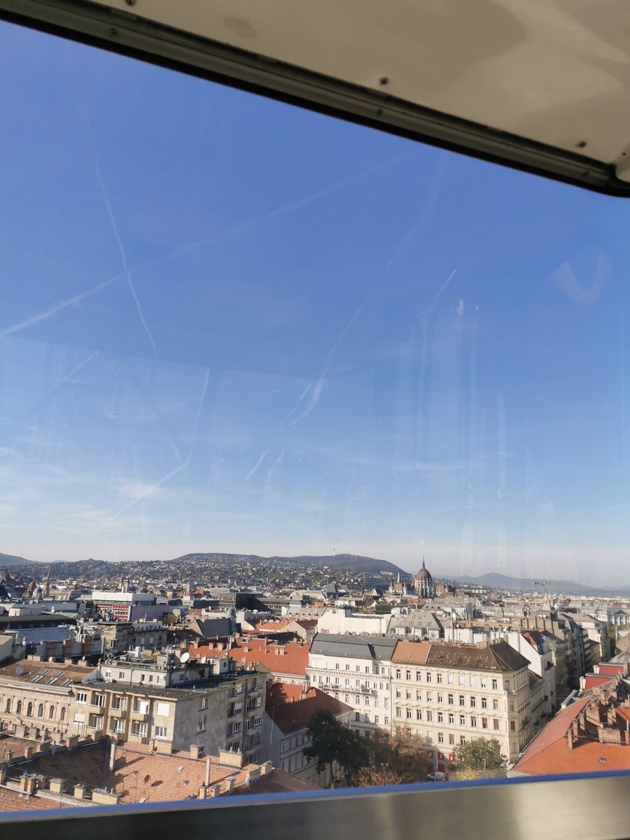 𝐷𝑜𝑟𝑖 💚💛 tweet media