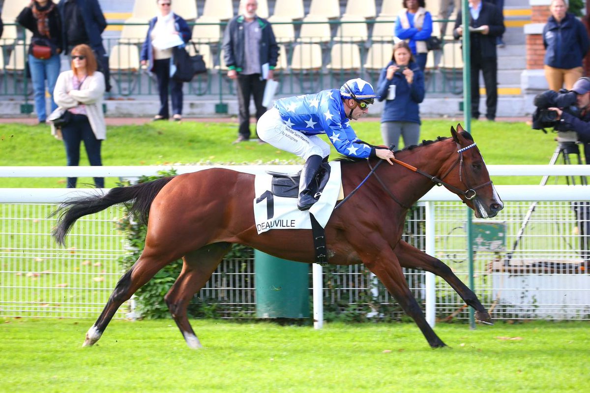 Jour de Galop tweet media