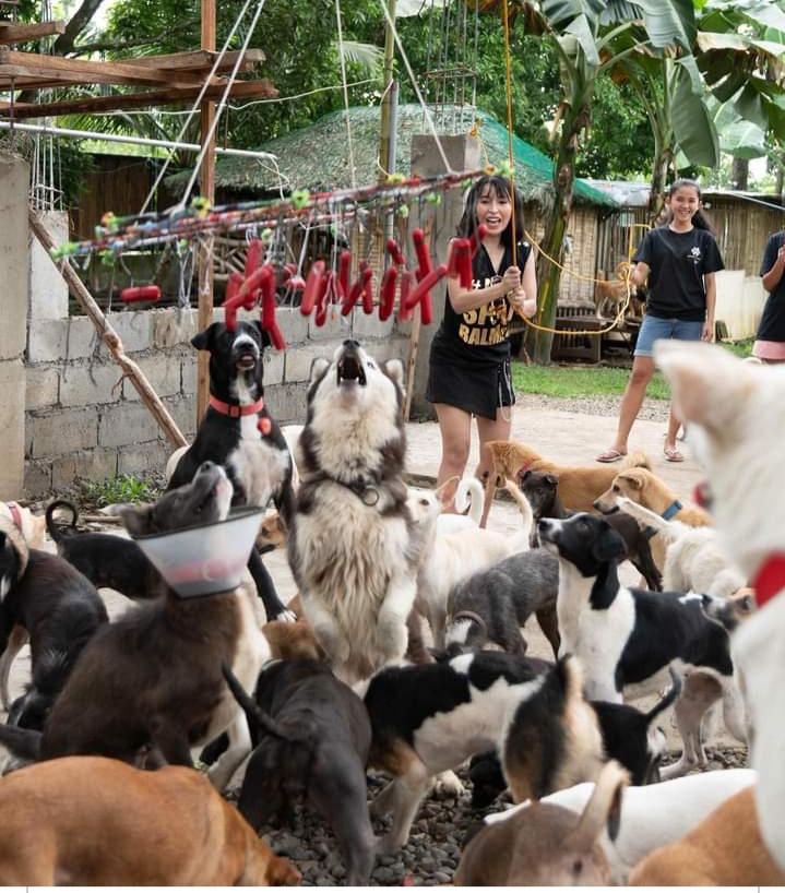 GabalesRosie's tweet photo. #furrmom🤍
#petlover🤍
Miloves🤍
#ASPINQUEEN🤍🐶
I LOVE YOU OUR ASPIN QUEEN🤍🤍🐶
@JelaiAndres
@JelaiAndres https://t.co/wFWc5oqV0B