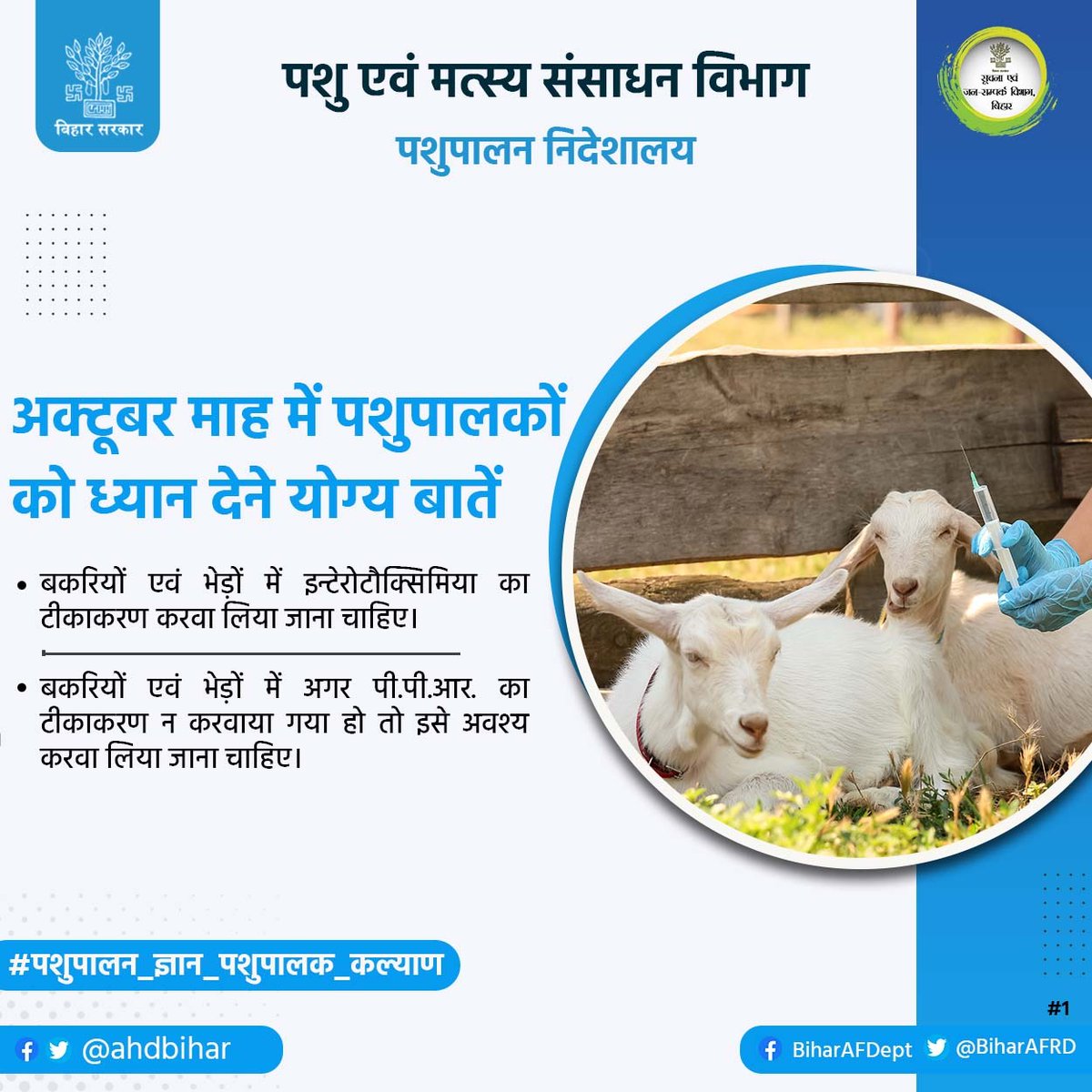 ahdbihar's tweet photo. अक्टूबर माह में पशुपालकों को ध्यान देने योग्य बातें:-
@AfaqueKasbaMLA
@saravanakr_n
@AnimalBihar
@DirectorateOfF1
@vpmeena_ias
@Dept_of_AHD

#पशुपालन_ज्ञान_पशुपालक_कल्याण 
#BiharAnimalAndFisheriesResourcesDept https://t.co/wpbUEzdqXC