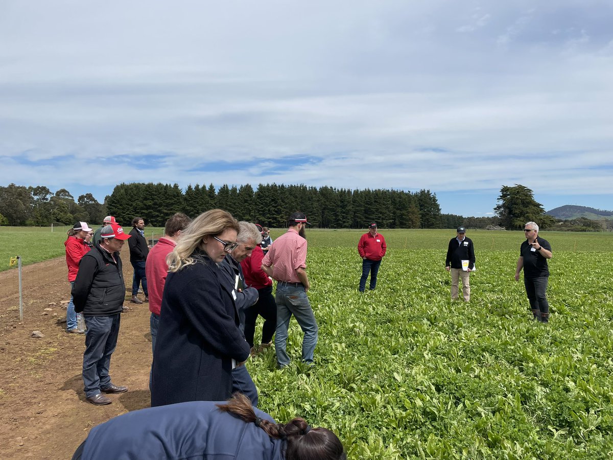 Graham Page tweet media