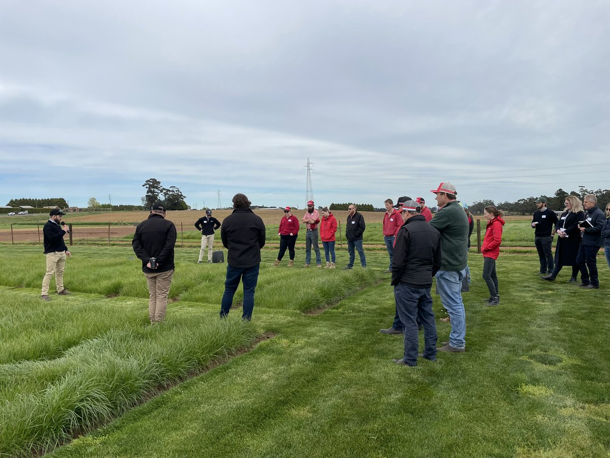 Graham Page tweet media