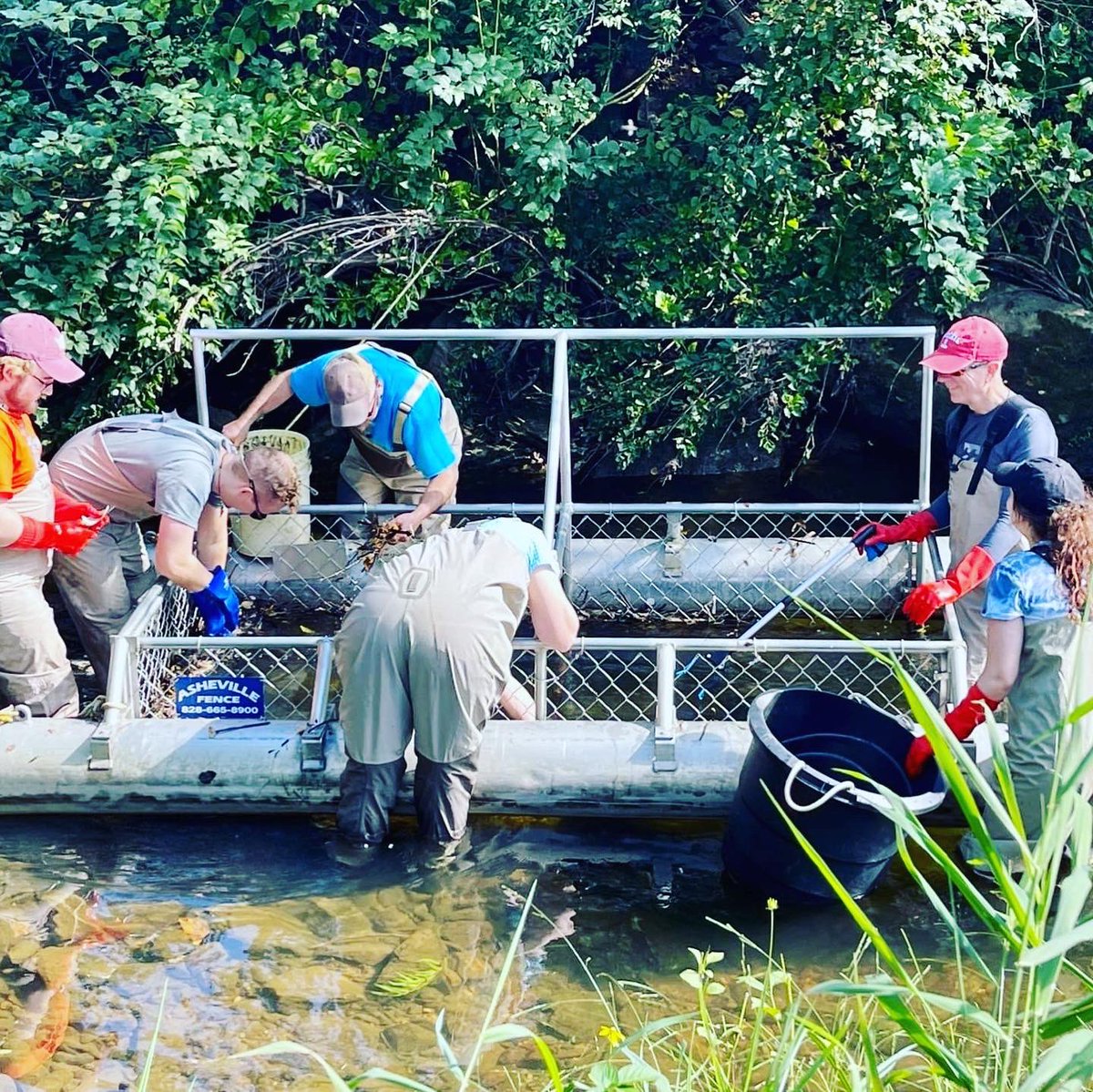 AppStudiesASU's tweet photo. Today is the 50th anniversary of the passage of the federal Clean Water Act (CWA) of 1972!
Clean-ups are a great way to help!
#waterways #cleanwateract #cleanwater #nowaternolife #badwaterbadlife #cleanwateract50thanniversary
#sustainabilityandtheartsinappalachia https://t.co/YikgD6KyUj