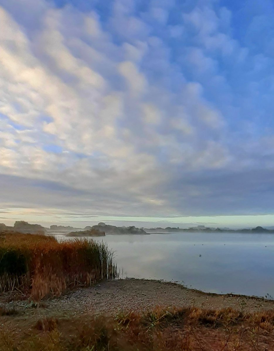 Early morning birds at Castle Water @ryeharbour_NR included 1 Merlin, 1 Black-necked Grebe, 1 Great White Egret, 2 Ruff, 1 Greenshank, 3+ Kingfisher, c280 Wigeon heading South-East, 10 Stonechat etc 60-odd species.