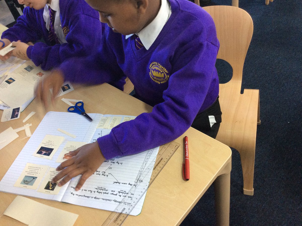 KingsleyLpool's tweet photo. For #KingsleyScienceWeek #class5G are using classification keys to sort taxa and identify sea animals #kingsleyscientists #kingsleyscience https://t.co/GU4RzJ76HL