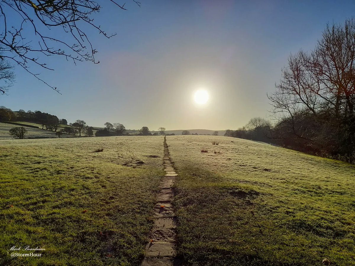 #StormHour tweet media