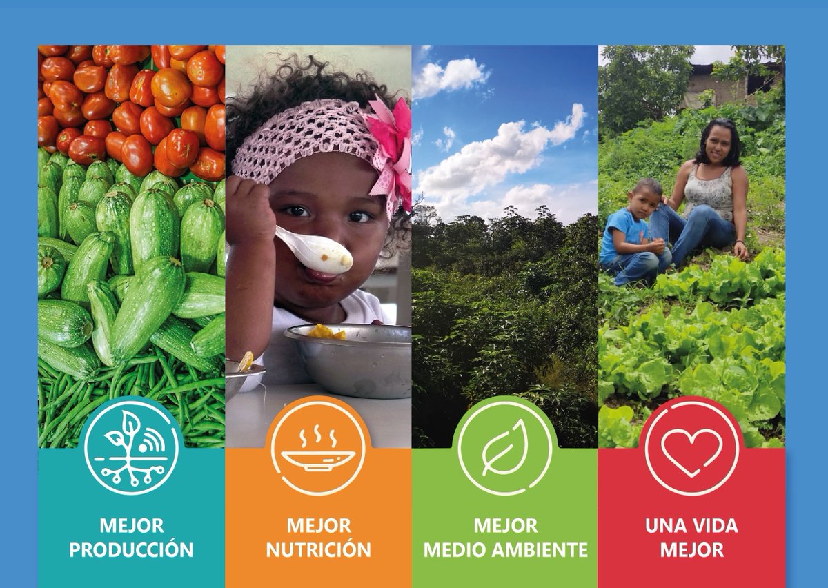 FAO_Venezuela's tweet photo. 🔴De interés

Conoce el nuevo Marco estratégico de FAO para 2022-2031

☑️Mejor producción
☑️Mejor nutrición
☑️Mejor medio ambiente
☑️Una vida mejor

Más detalles en:
https://t.co/hdP7xYVLZL https://t.co/mpvjdSLeQn