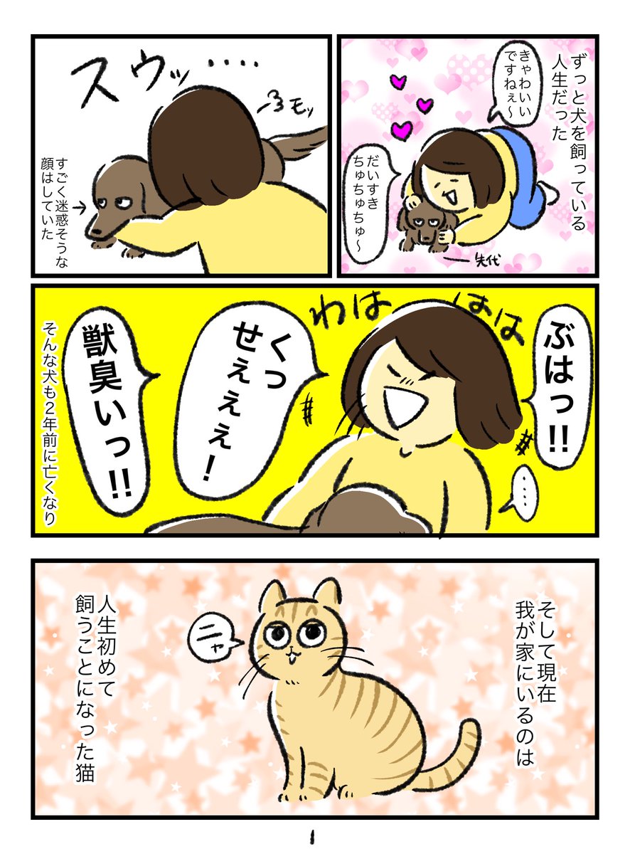 犬も猫もかわゆいね 