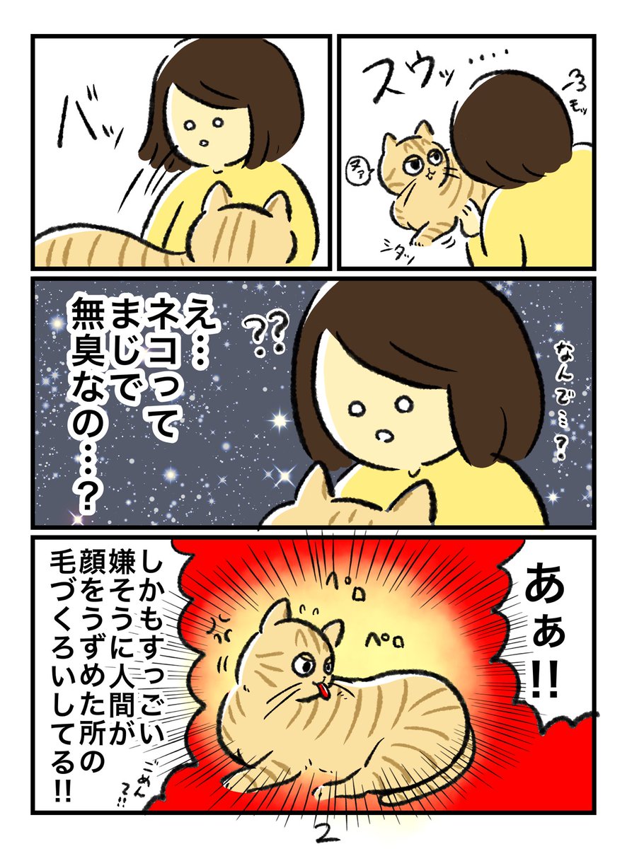 犬も猫もかわゆいね 