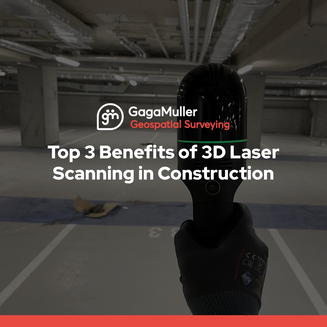 GagaMuller Group tweet media