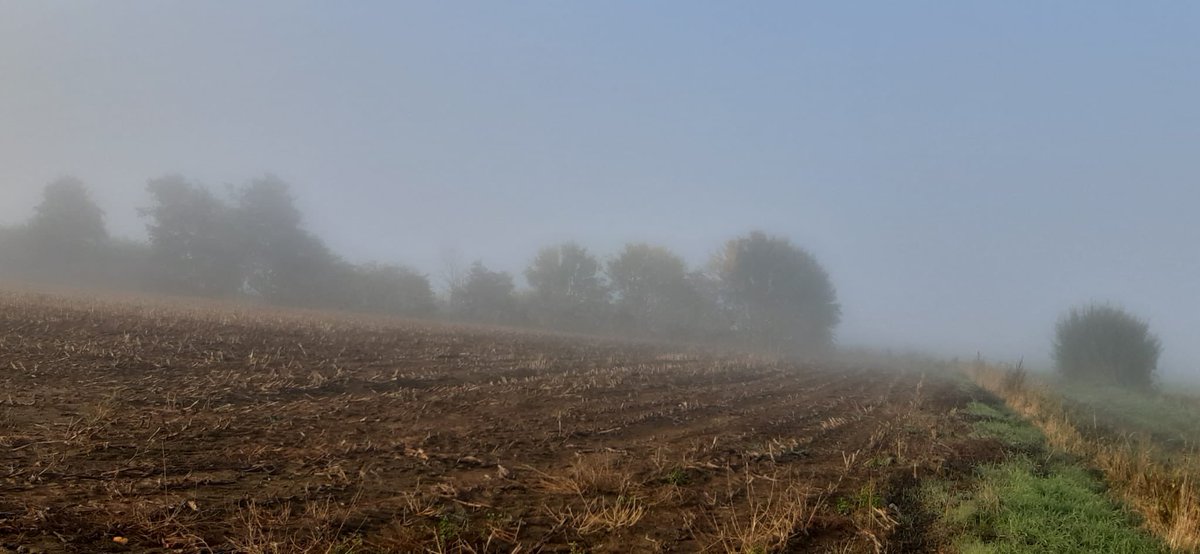 LouisDeschildre's tweet photo. Nieuwkerke 9u30 Louis Deschildre #vtimenen #vrtweer https://t.co/QCCmAK6kOq