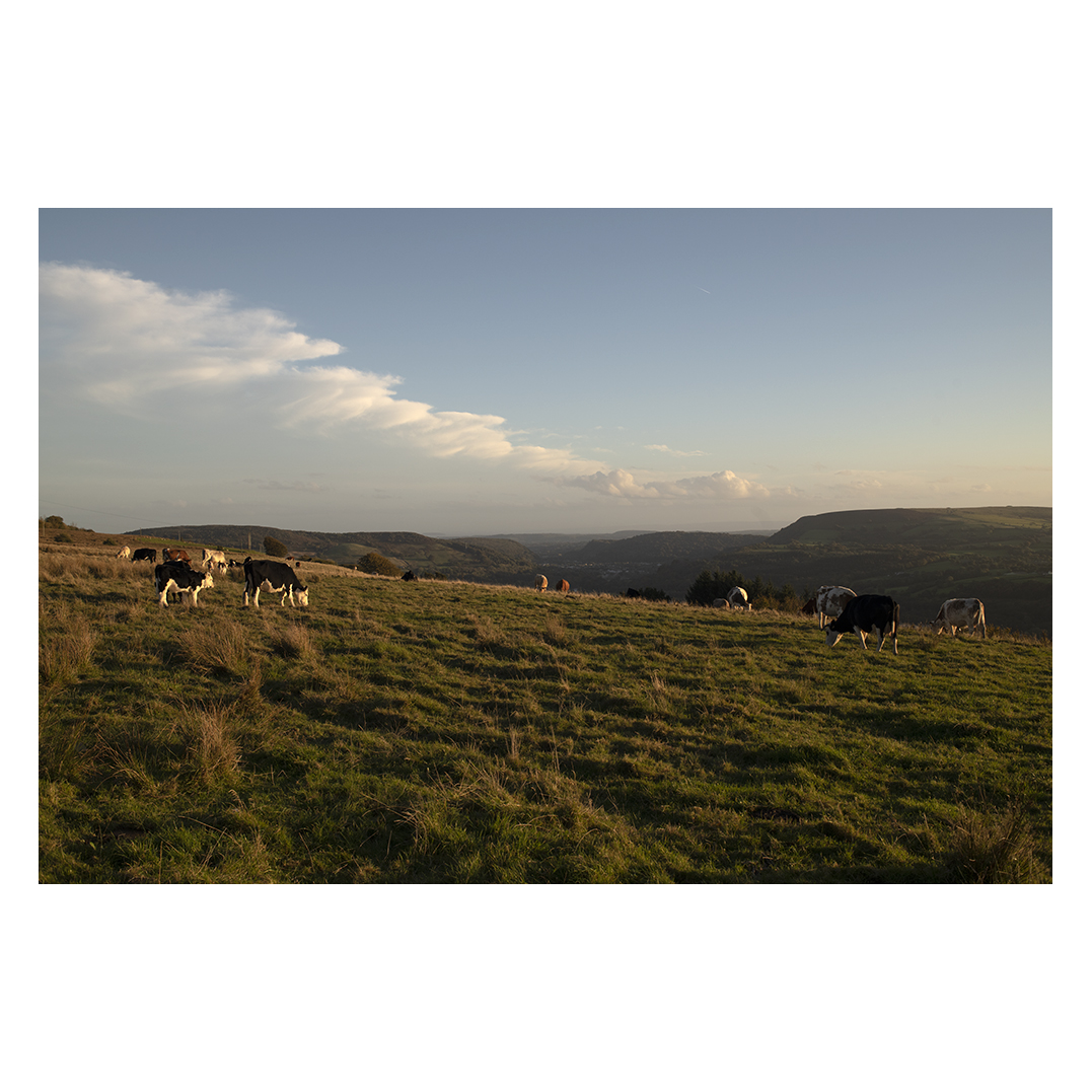 JonPountney1's tweet photo. The slopes of Mynydd Meio, looking past the Garth mountain towards Cardiff. This landscape has seen the rise and fall of coal as the blink of an eye. https://t.co/HDnM7Q6wuS