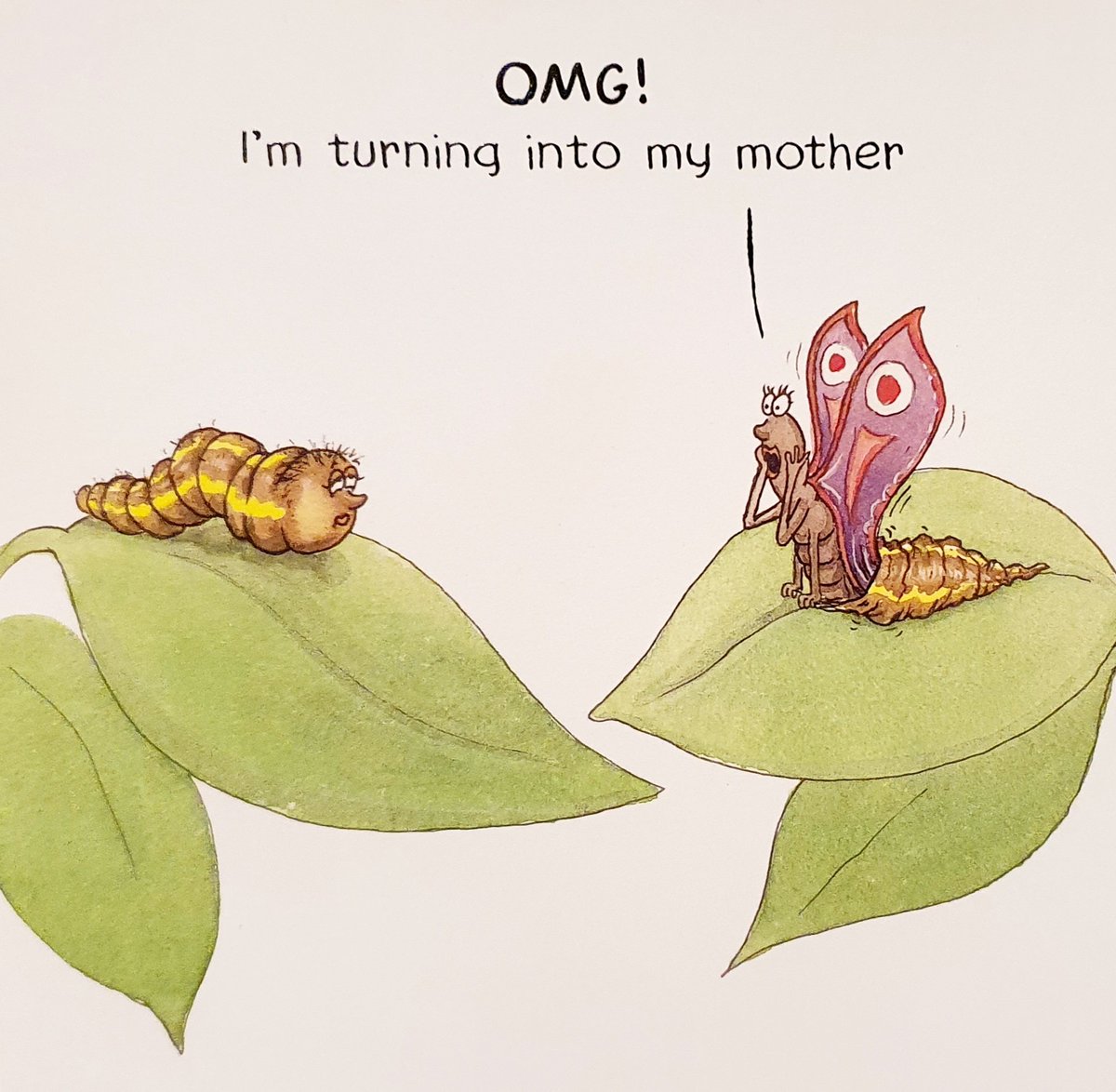 Catepics's tweet photo. This birthday card... grounds for divorce, right? https://t.co/PzLBhXL6EB