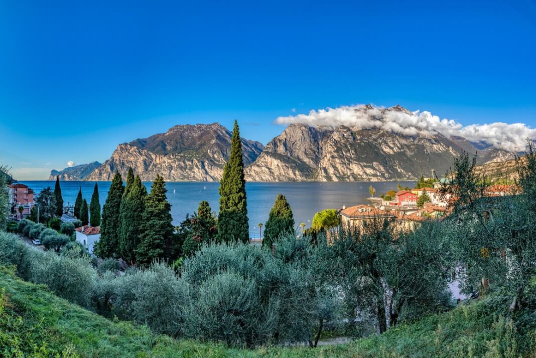 A post-doc position (two years) is available in our lab at UniTrento C3A working on olive reproductive physiology and stress adaptation in the Garda lake area (Italy)! 
Applications are welcome until 9 November 2022!
#Cliamtechange #olive #postdoc #pollen

unitn.it/ateneo/bando/7…