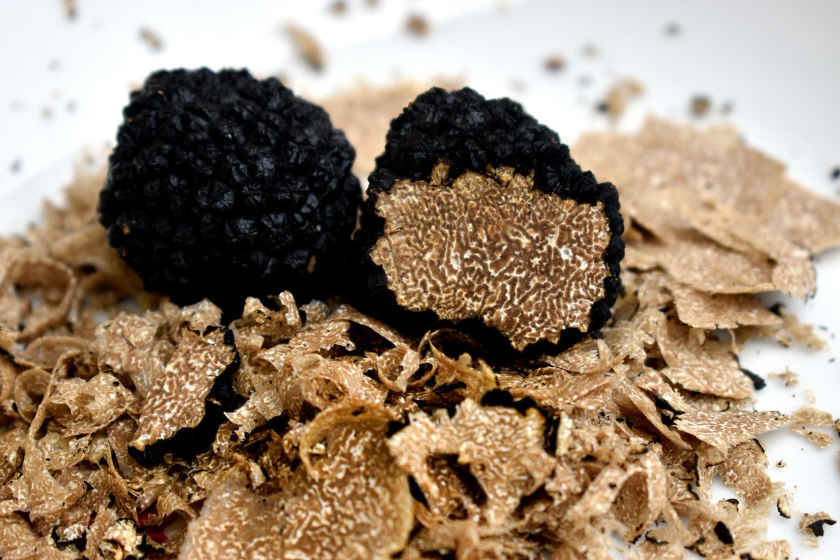 WildFood_PRIMA's tweet photo. 🍄 Our partners experiment with mushrooms & truffles in three countries:
- Italy @unipadova
- Spain @ctforestal
- Slovenia (SFI)
@PrimaProgram #PrimaProjects #WildFoodPRIMA #Mediterranean #WildFoodProducts https://t.co/u5kuIWtbCw